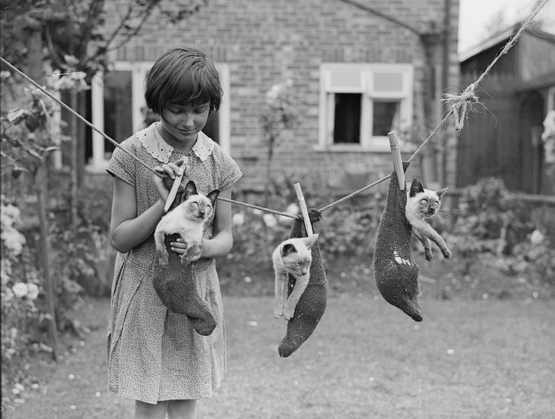 Illustration for article titled Vintage Photos Reveal Century-Long Obession with Dressing Up Pets